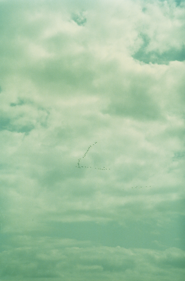 Draft, 2005, photography, 190 x125 cm
Edition of 4