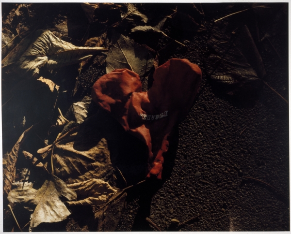 Forestillingen om Tivoli/ The Notion of Tivoli, 2000, photography, each 58 x 47 cm
Series of 32 photographies from abandoned amusementpark Tivoli in Copenhagen, DK