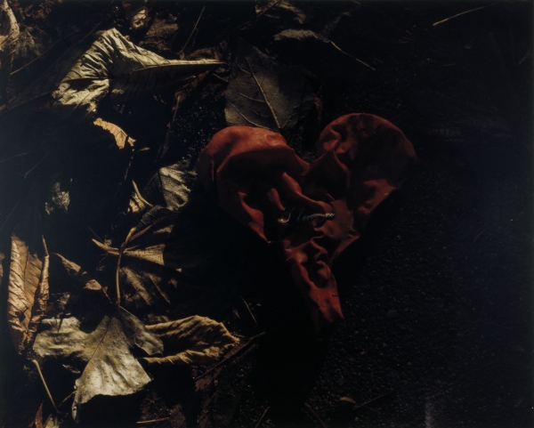 Forestillingen om Tivoli/ The Notion of Tivoli, 2000, photography, each 58 x 47 cm
Series of 32 photographies from abandoned amusementpark Tivoli in Copenhagen, DK